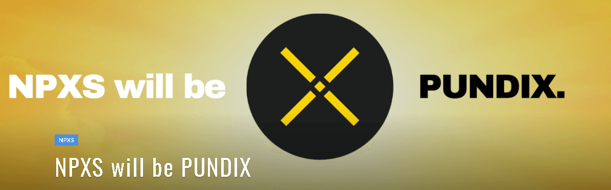 NPXS(PUNDIX)