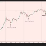 ビットコインの長期対数チャート。半減期後の周期ごとの底と、緑のボックス内で付けた底を示す